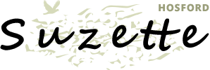 Blog Logo
